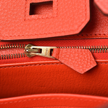 Hermes Togo Birkin 25 Rouge Tomate 29 of 37