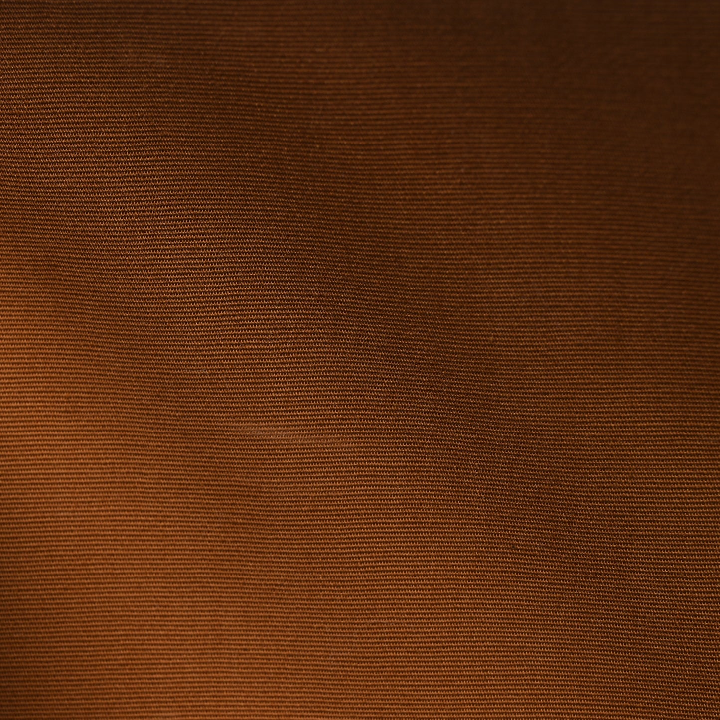 Triomphe Canvas Calfskin Travel Dog Bag Tan