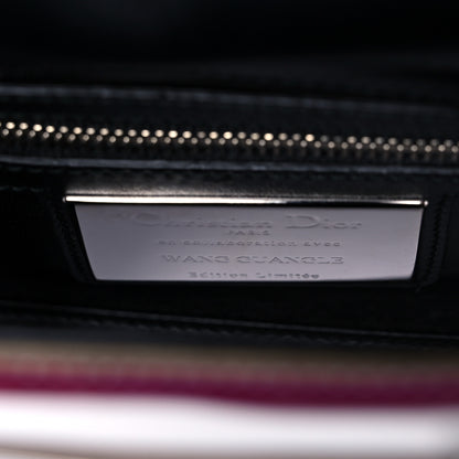 Christian Dior X WANG GUANGLE Technical Fabric Acrylic PVC Mini Lady Dior Multicolor 6 of 10