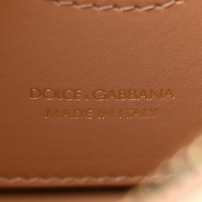 Dolce & Gabbana Calfskin Hot Stuff DG Logo 3.5 Crossbody Bag Cipria 6 of 9