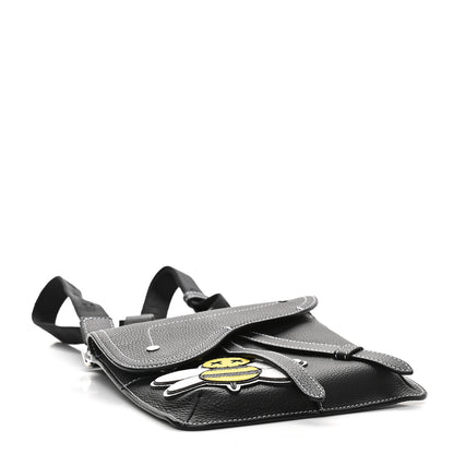 Christian Dior X KAWS Grained Calfskin Bee Saddle Pouch Black 4 of 9