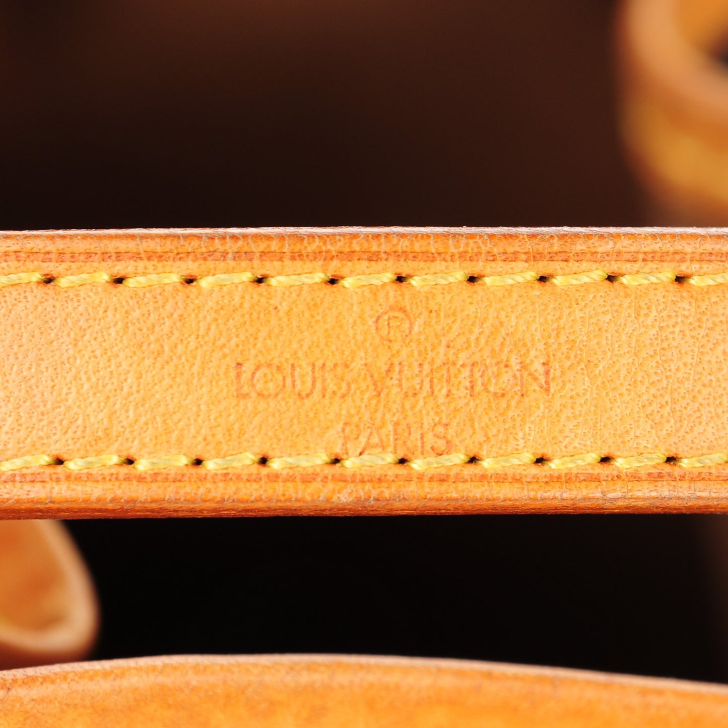 Monogram Mini Noe