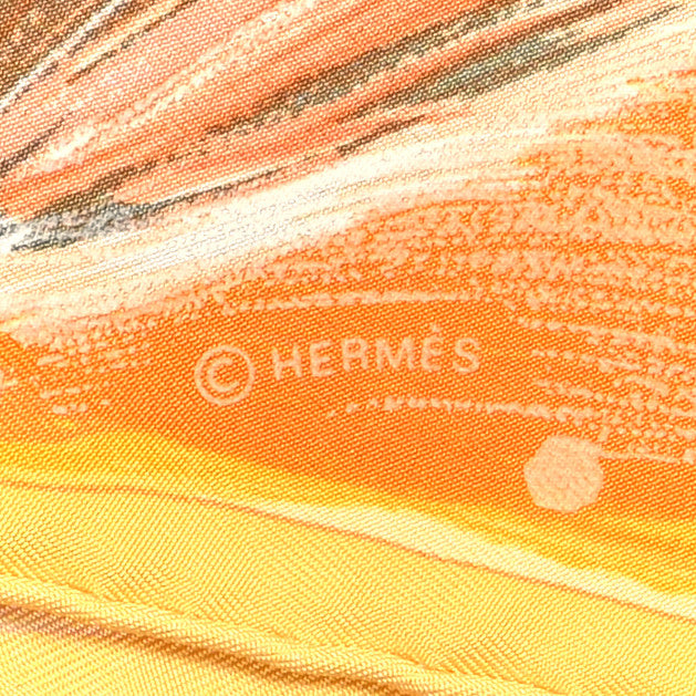Silk Feux Du Ciel Scarf 90