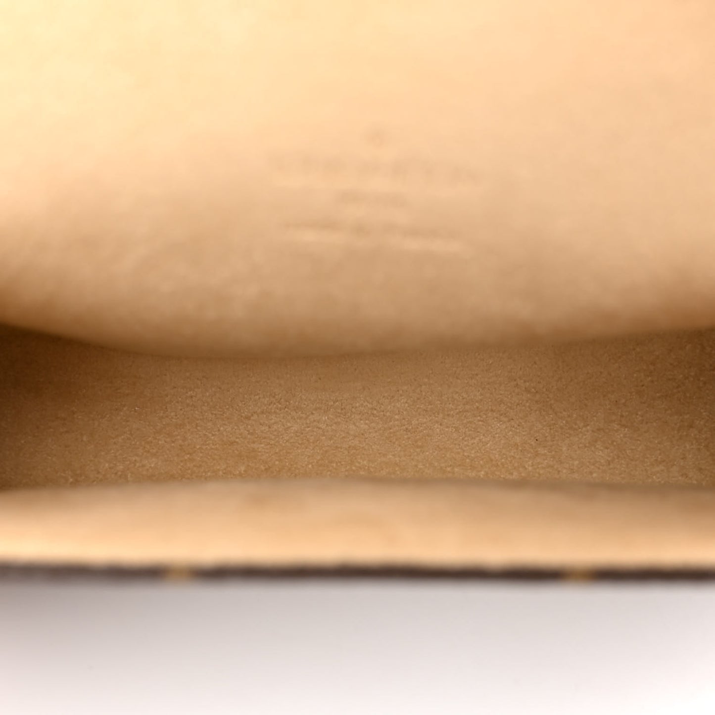 Monogram Pochette Florentine L