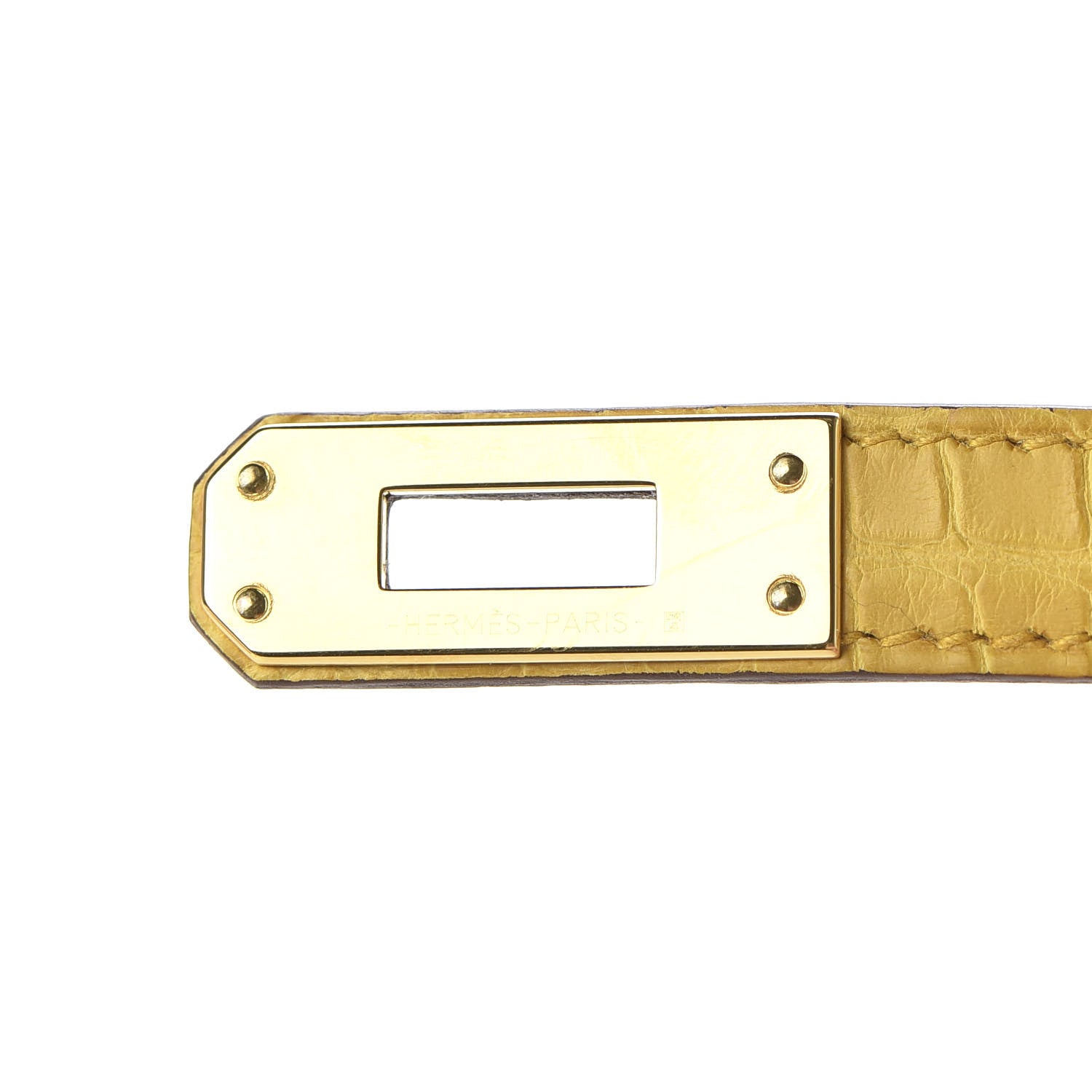 Hermes Matte Alligator Birkin 25 Jaune Ambre 28 of 33