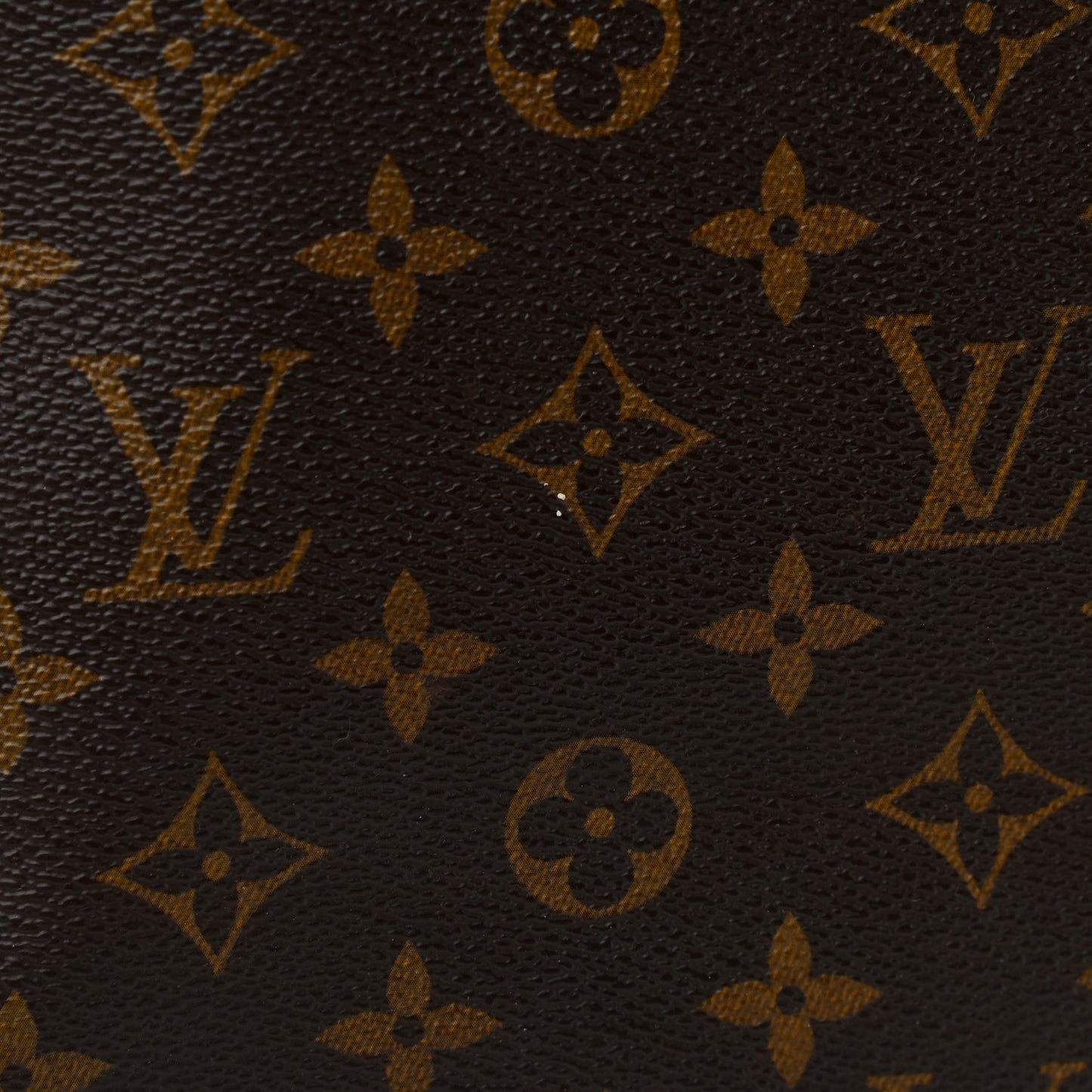 Monogram Cabas Mezzo