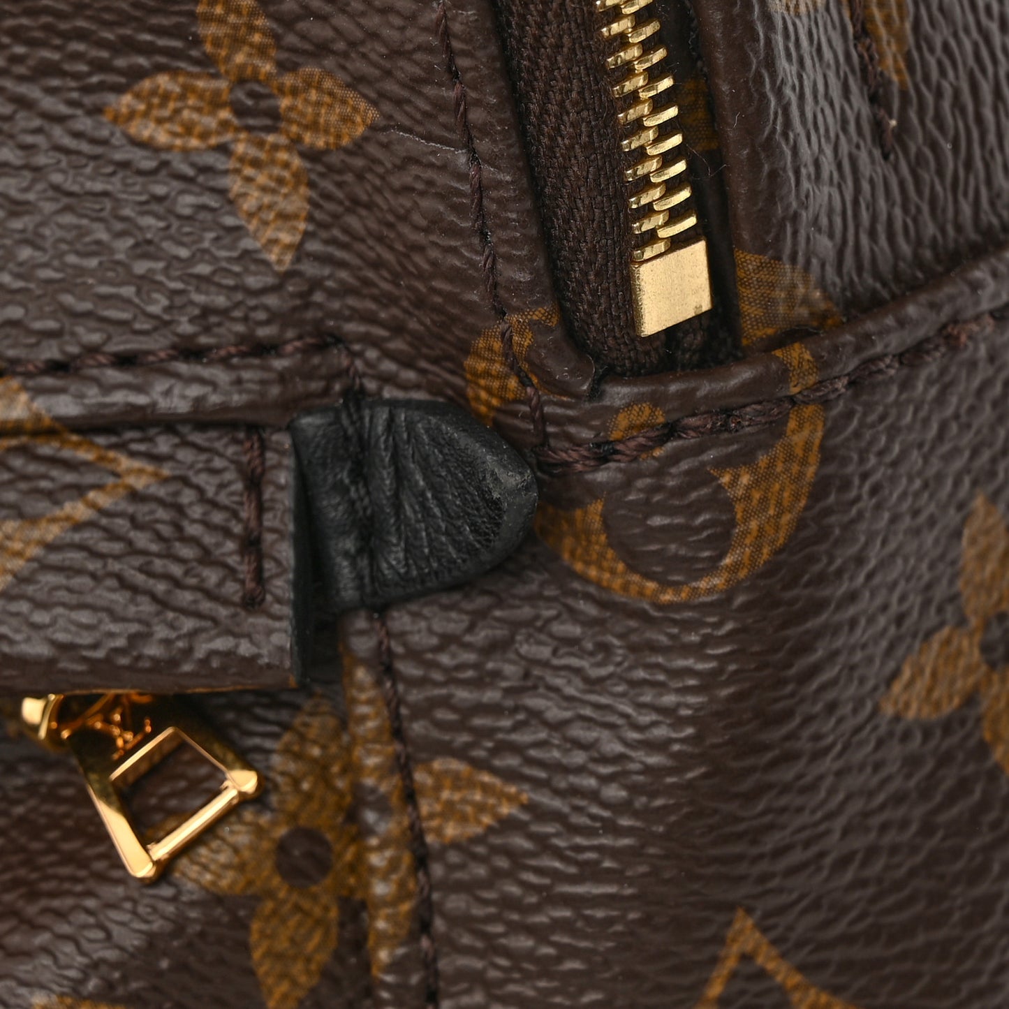 Monogram Palm Springs Backpack Mini