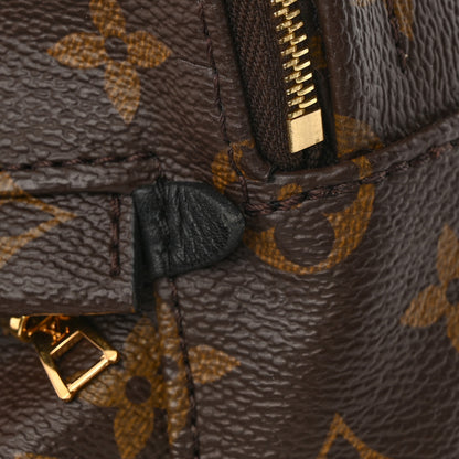 Louis Vuitton Monogram Palm Springs Backpack Mini 15 of 16