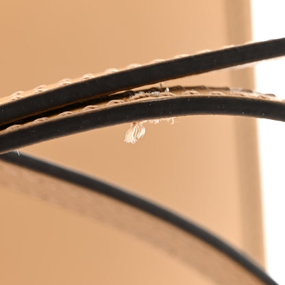 Fendi Vitello King Plexiglass Logo Embossed Mini Fendi Sunshine Shopper Tote Miele Scuro 13 of 13