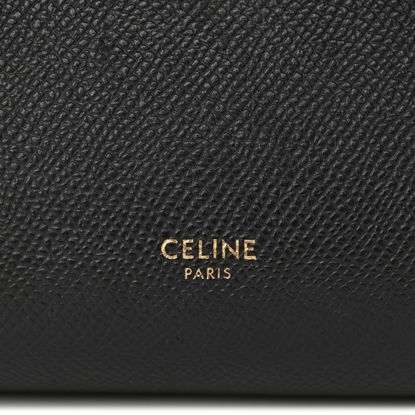 Grained Calfskin Pico Belt Bag Black