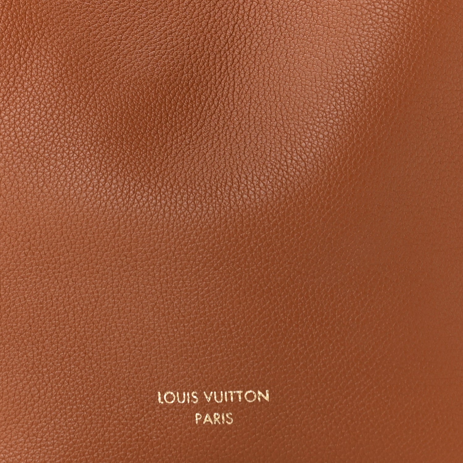 LV輸入レザー　ハギレ　91x135cm | Louis Vuitton