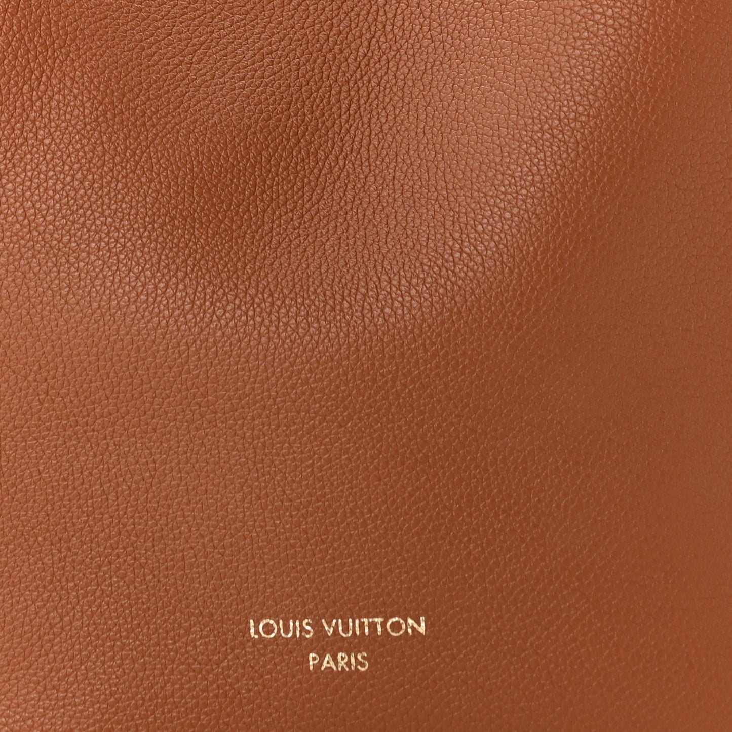 Grained Calfskin Low Key Hobo PM Cognac