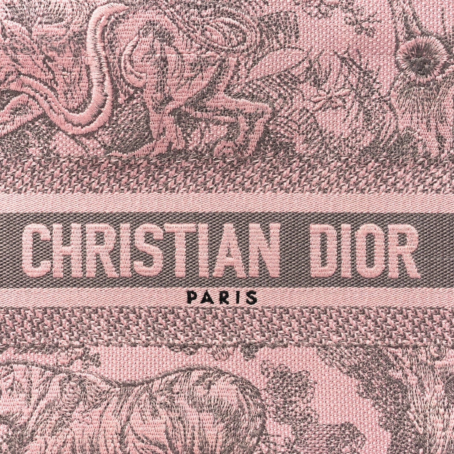 Canvas Embroidered Small Dioriviera Toile De Jouy Book Tote Pink