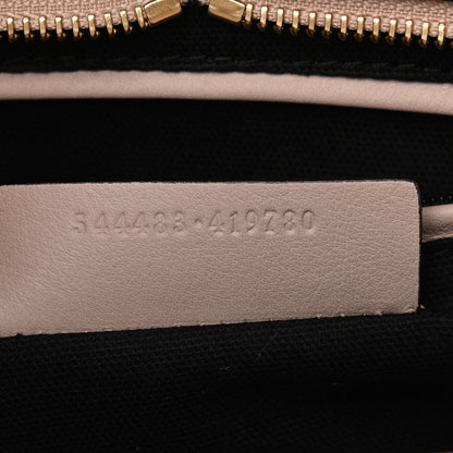 Alexander McQueen Calfskin Small Skull Padlock Zip Around Tote Teint 6 of 10