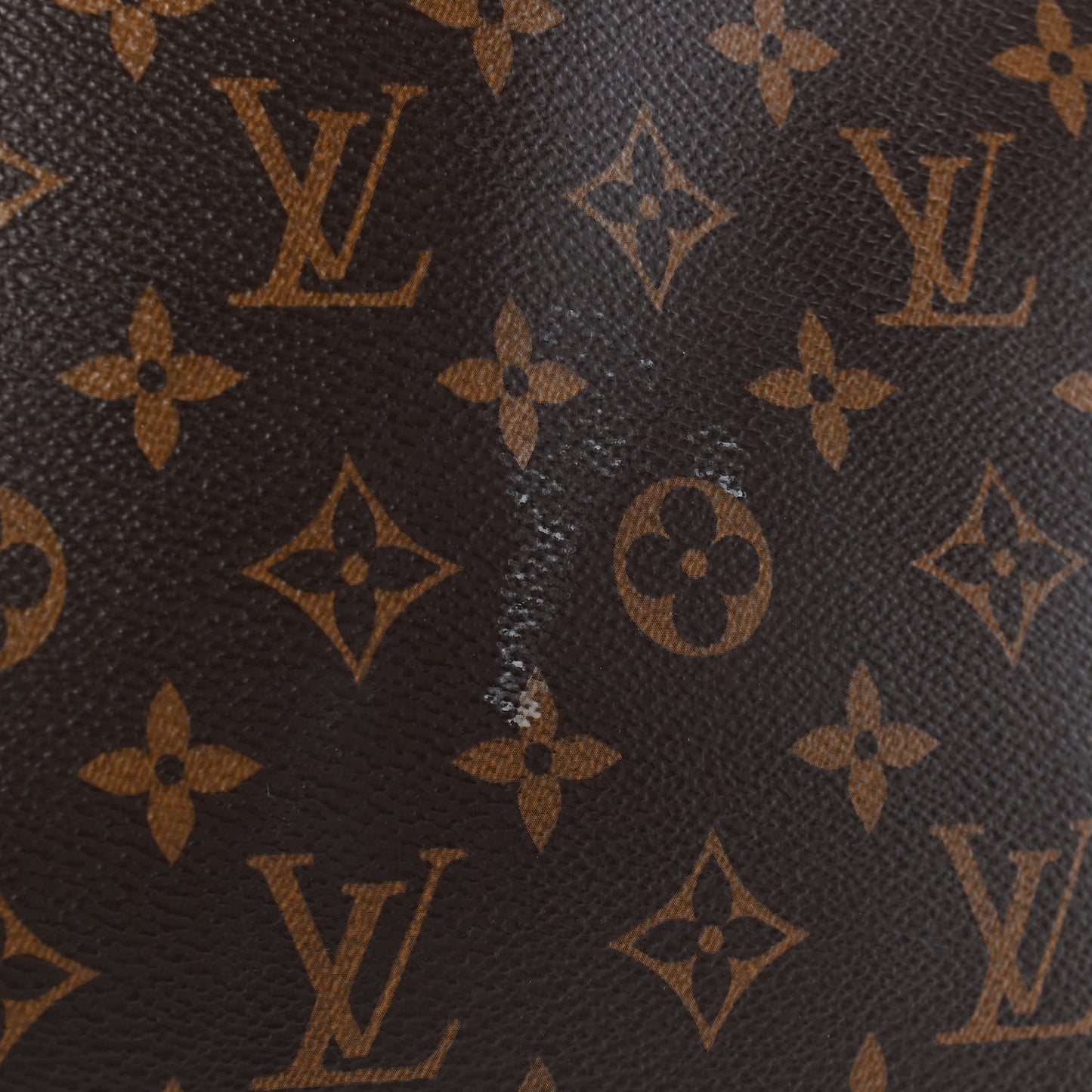 Monogram Carry It