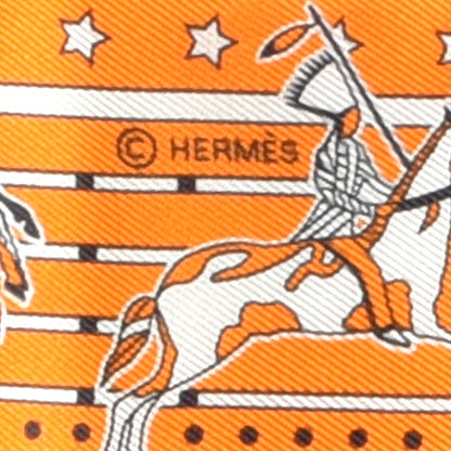 Hermes Silk Pani La Shar Pawnee Twilly Orange Mastic Brun 4 of 4