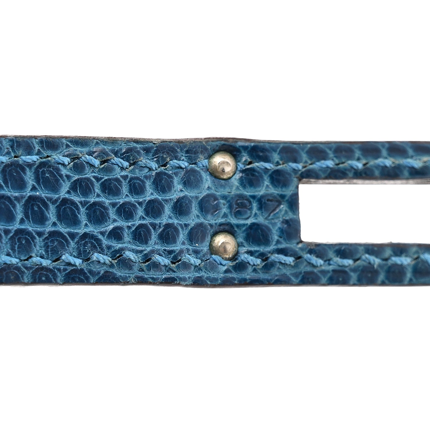 Hermes Lizard Birkin 25 Mykonos 7 of 20