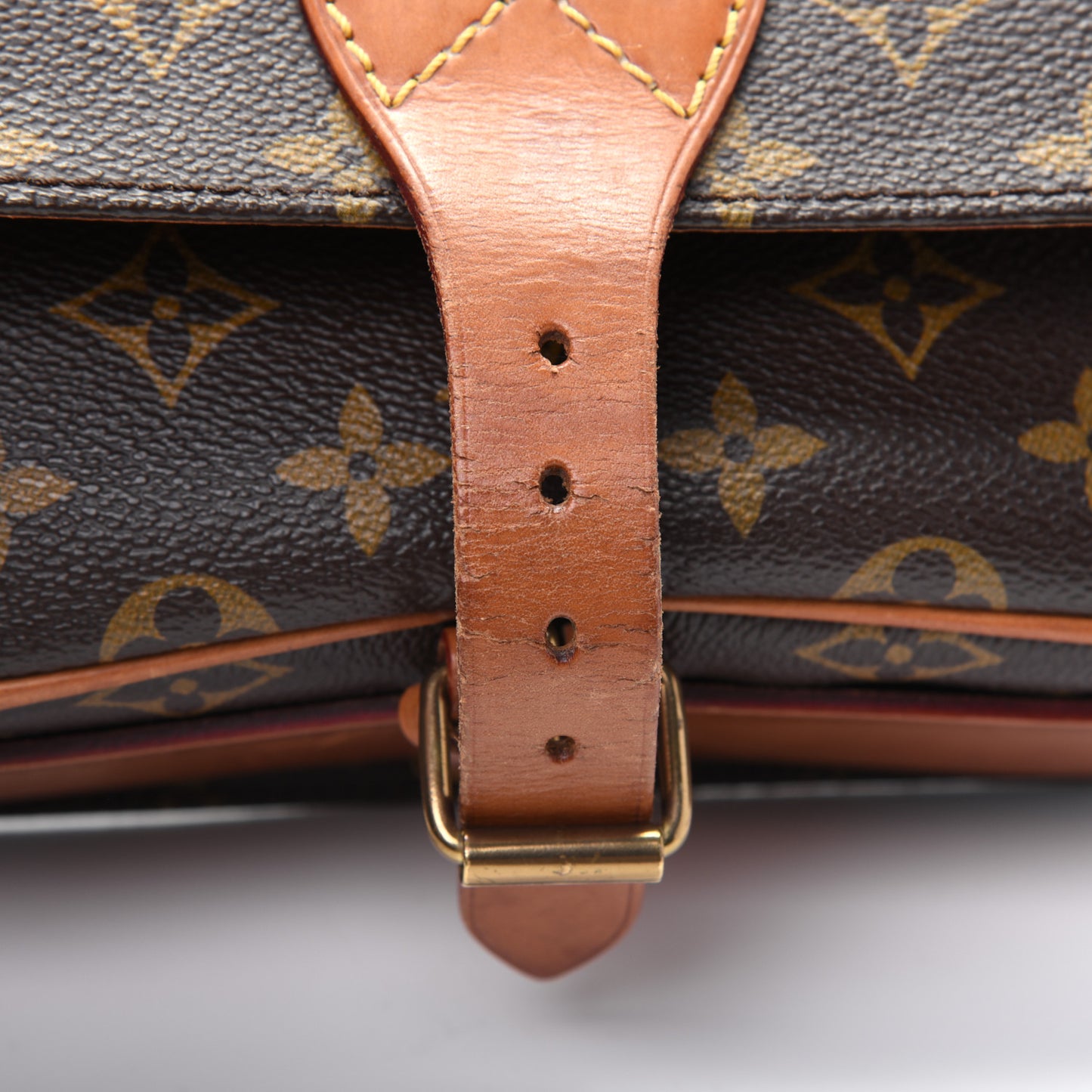 Monogram Cartouchiere 22