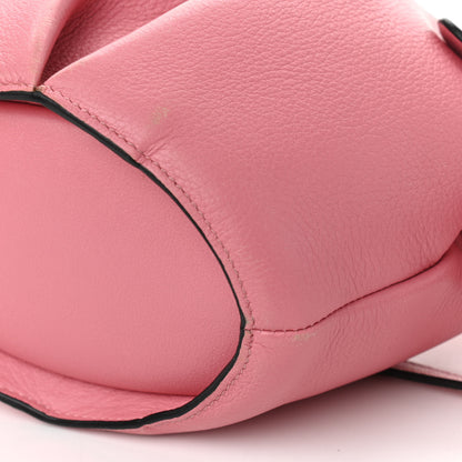 Loewe Calfskin Mini Elephant Crossbody Bag Candy 13 of 15