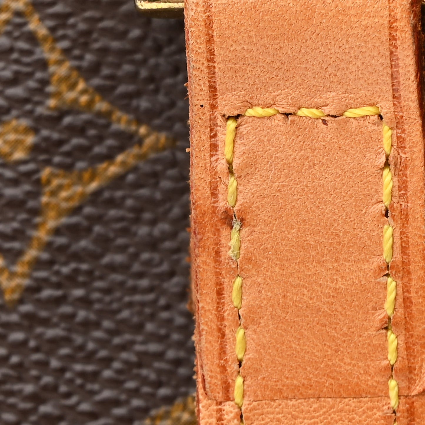 Monogram Vavin PM