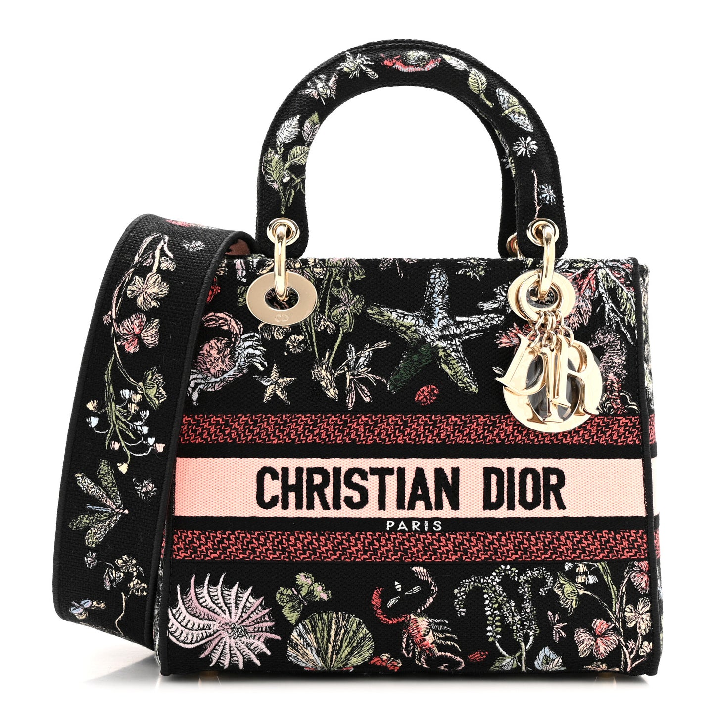 Canvas Cabinet De Curiosites Embroidered Medium Lady D-Lite Black Multicolor