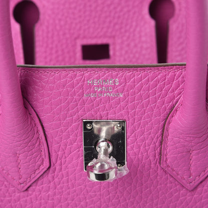 Hermes Togo Birkin 25 Magnolia 6 of 8