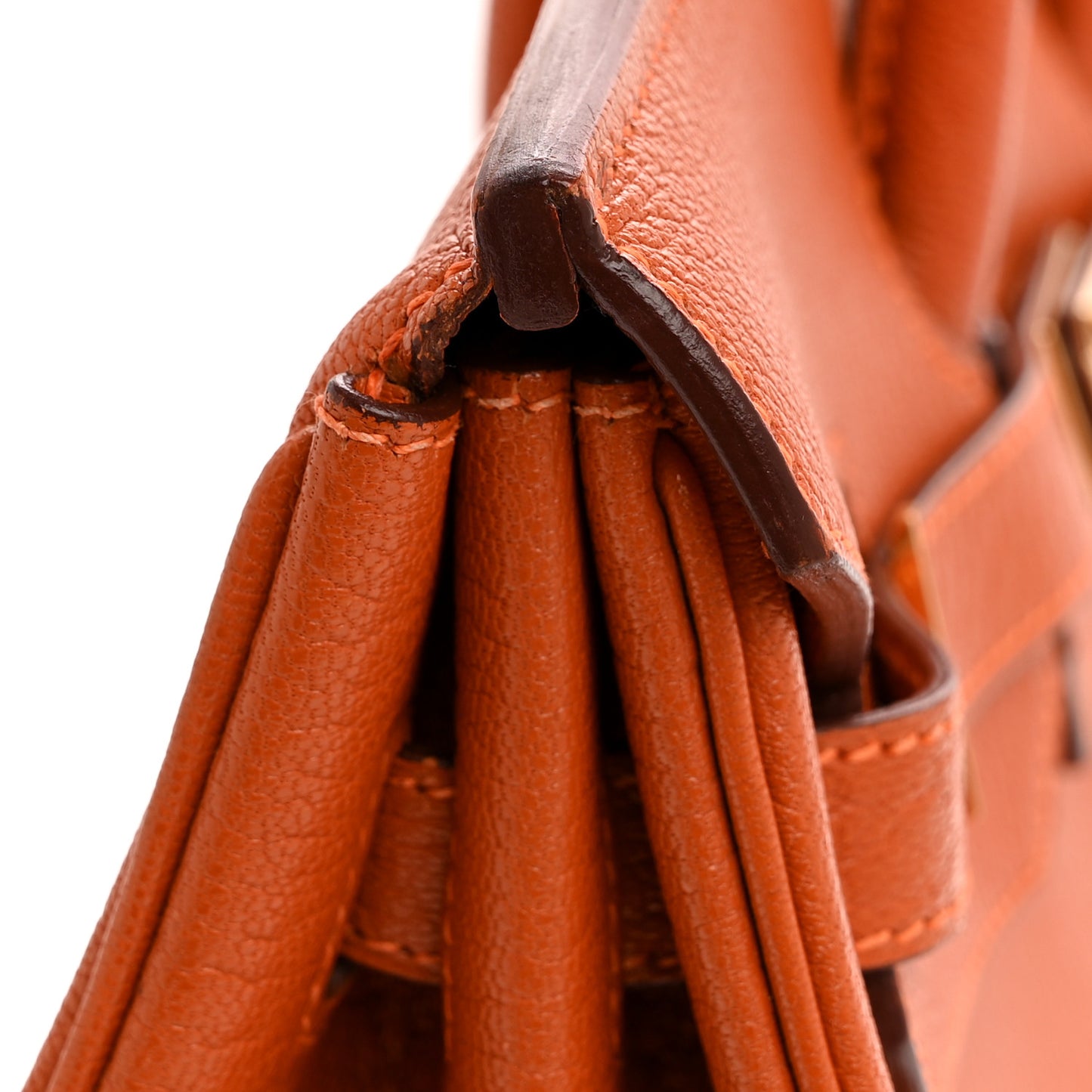 Chevre de Coromandel Birkin 35 Potiron