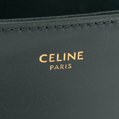 Celine Shiny Calfskin Medium Chain Maillon Triomphe Amazone 6 of 12