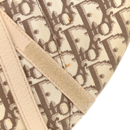 Christian Dior Monogram Vintage Flowers Saddle Bag Beige 12 of 21