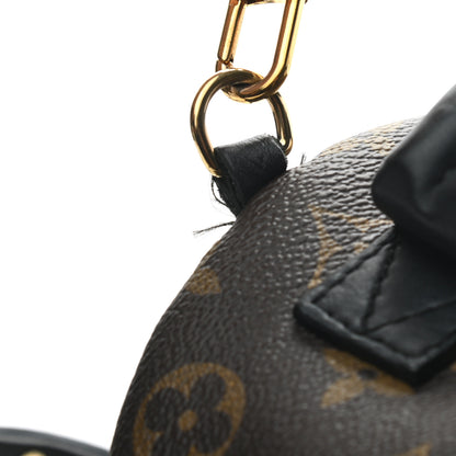 Louis Vuitton Monogram World Tour Palm Springs Backpack Mini 9 of 11