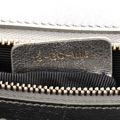 Christian Dior Metallic Ceramic Effect Deerskin Medium Diorama Flap Bag Silver 7 of 14