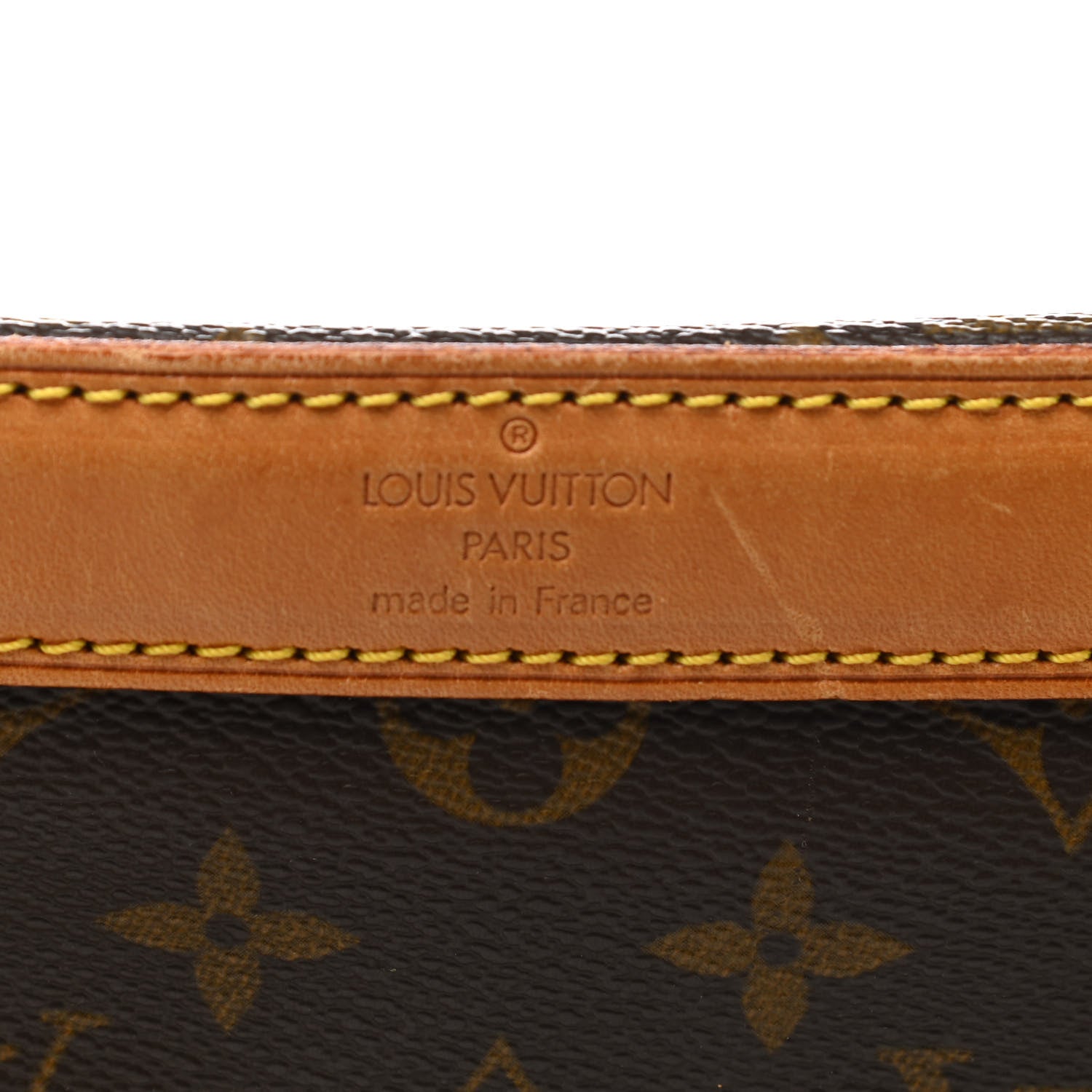 Louis Vuitton Monogram Sac Chien 50 Pet Carrier 5 of 12