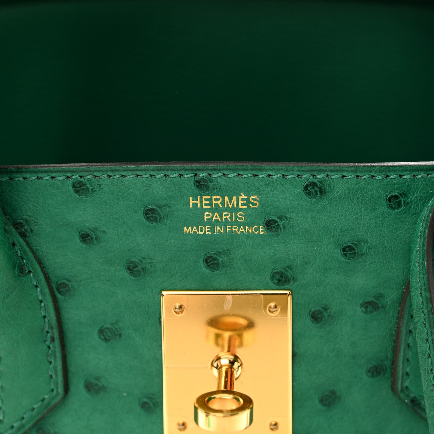 Ostrich Birkin 30 Vert Vertigo