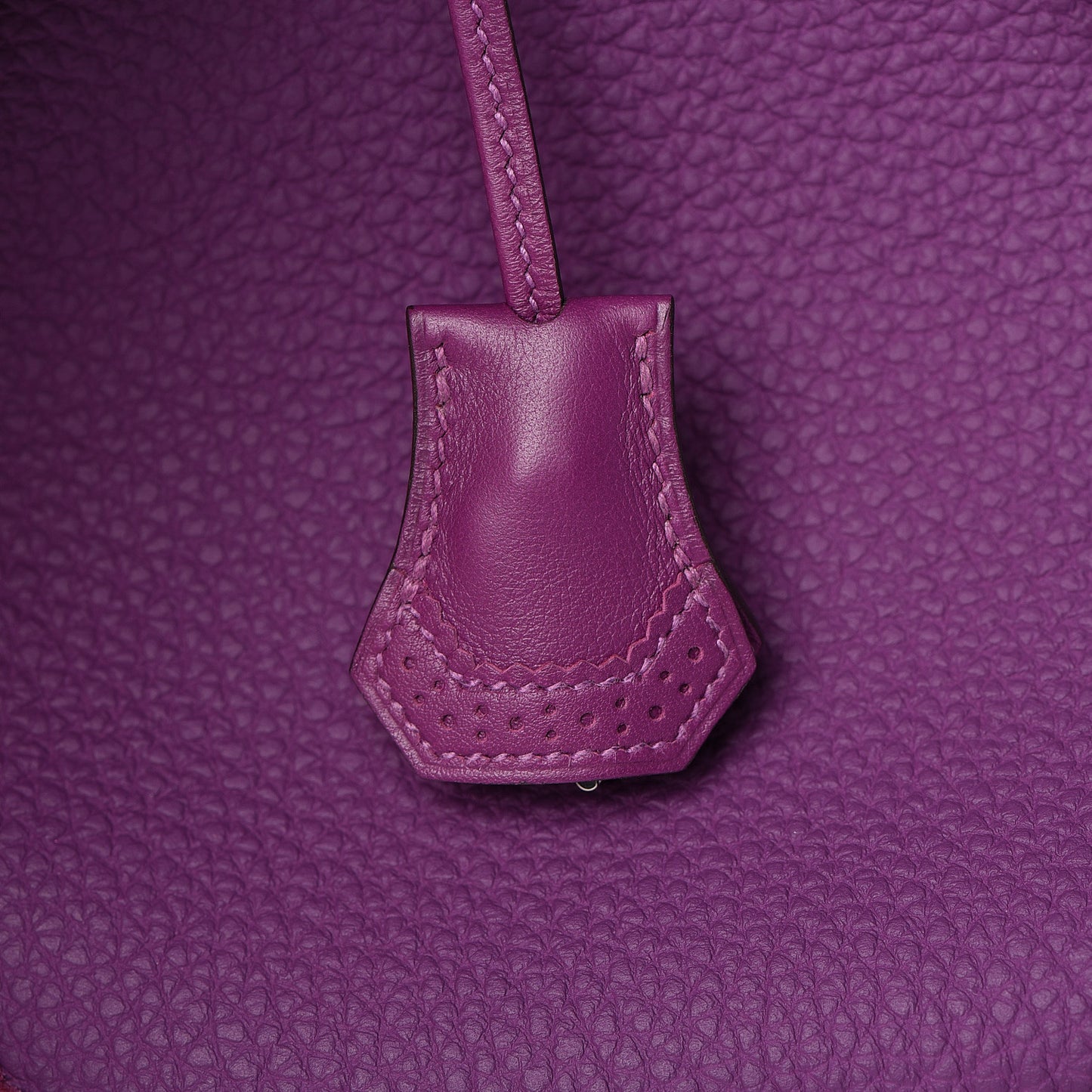 Togo Swift Ghillies Birkin 30 Anemone