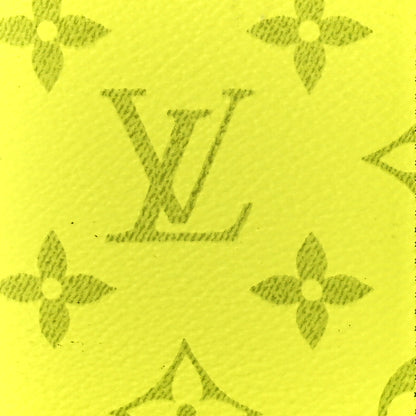 Louis Vuitton Monogram Taiga Pocket Organizer Yellow 8 of 12