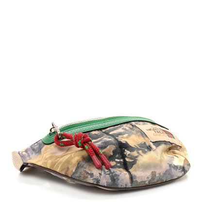 Gucci X THE NORTH FACE Econyl Nylon Belt Bag Multicolor 4 of 10