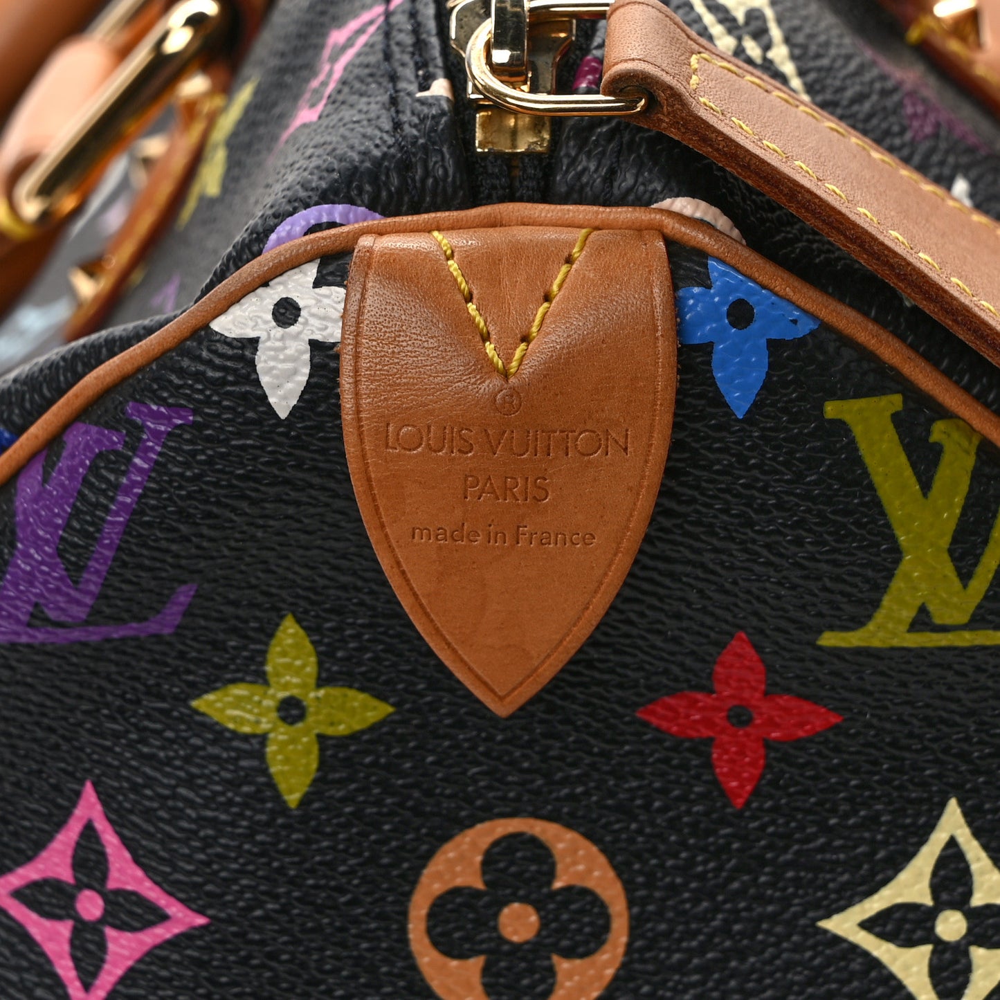 Monogram Multicolor Speedy 30 Black
