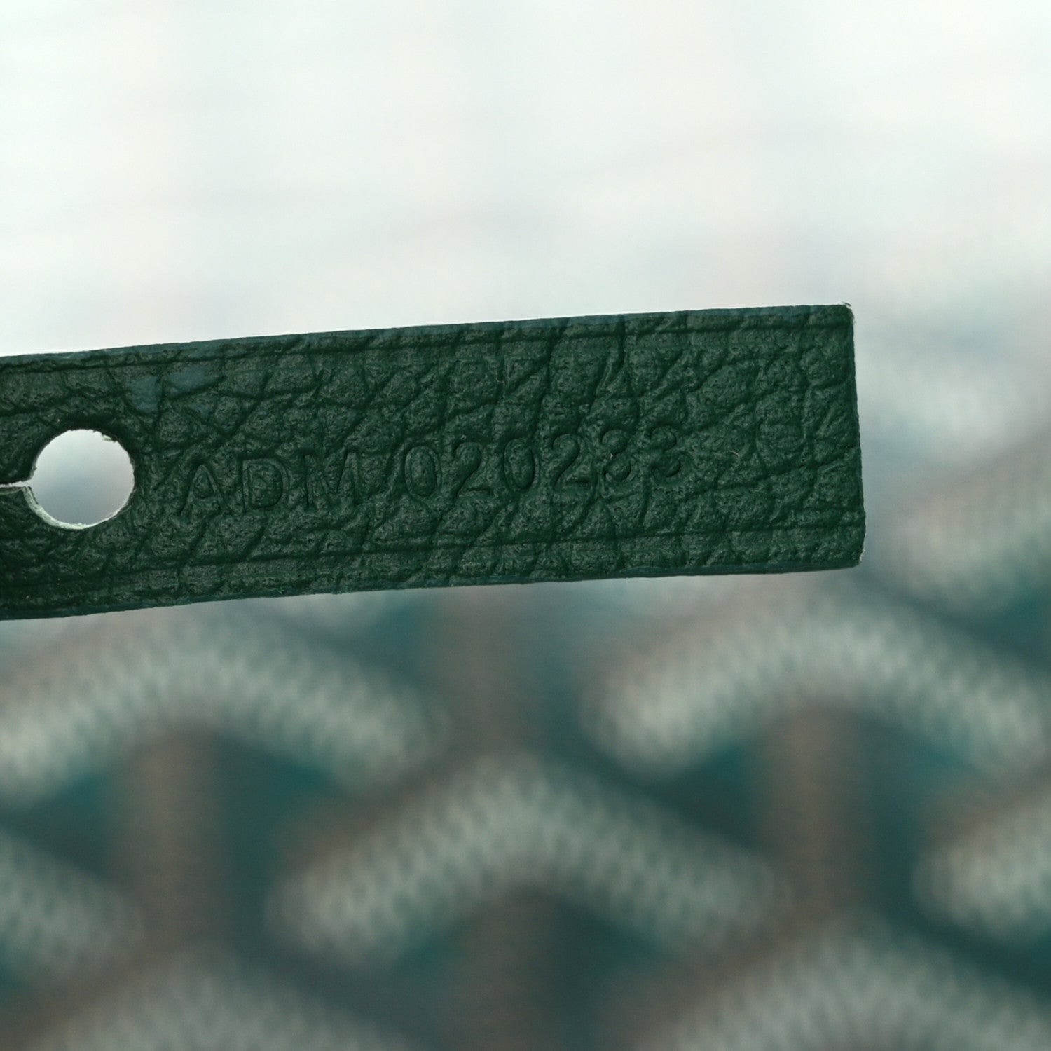 Goyard Goyardine Saint Louis PM Green 8 of 11