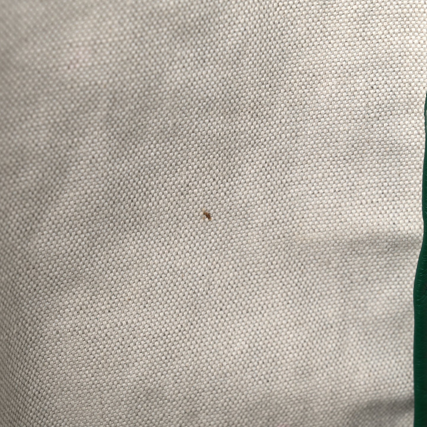 Goyardine Saint Louis PM Green