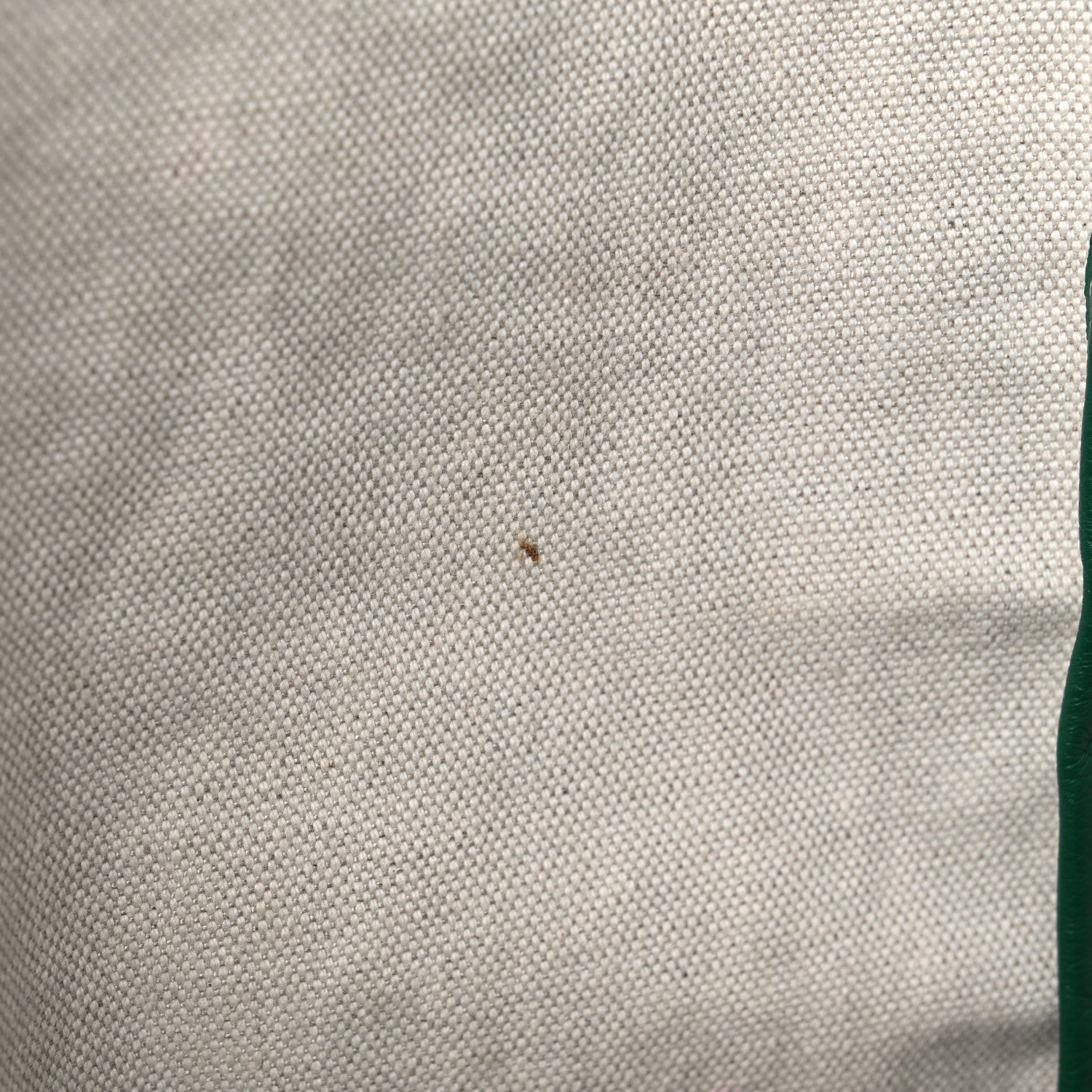 Goyard Goyardine Saint Louis PM Green 12 of 13