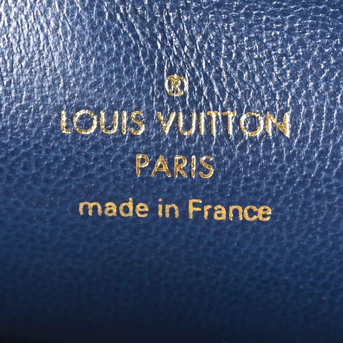 Louis Vuitton Lambskin Embossed Monogram Coussin PM Taupe 6 of 9