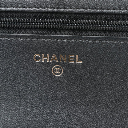 Chanel Iridescent Lambskin Quilted Pearl Wallet On Chain WOC Black 7 of 11