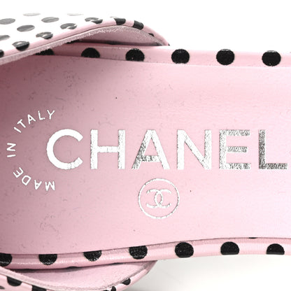 Chanel Lambskin Patent Calfskin Cap Toe Polka Dot Camellia Mary Jane Flats 36 Pink Black 8 of 9