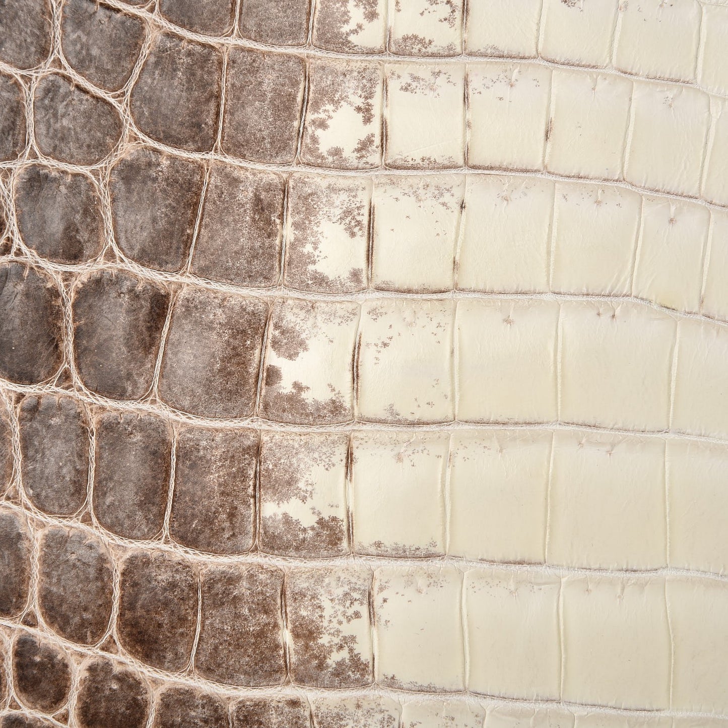 Matte Niloticus Crocodile Himalaya Birkin 30 Blanc