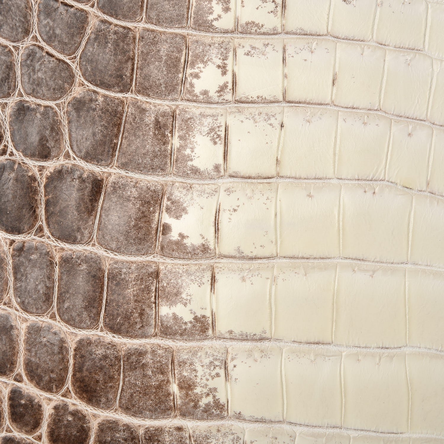 Hermes Matte Niloticus Crocodile Himalaya Birkin 30 Blanc 45 of 49