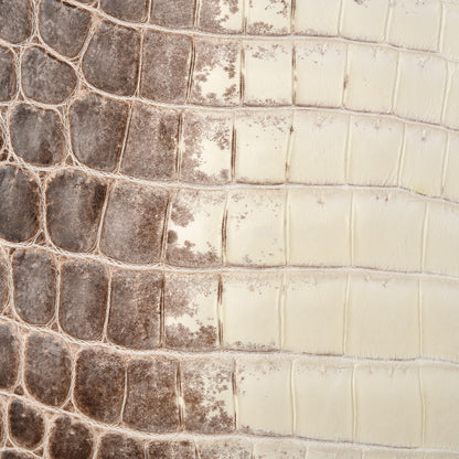 Hermes Matte Niloticus Crocodile Himalaya Birkin 30 Blanc 45 of 49