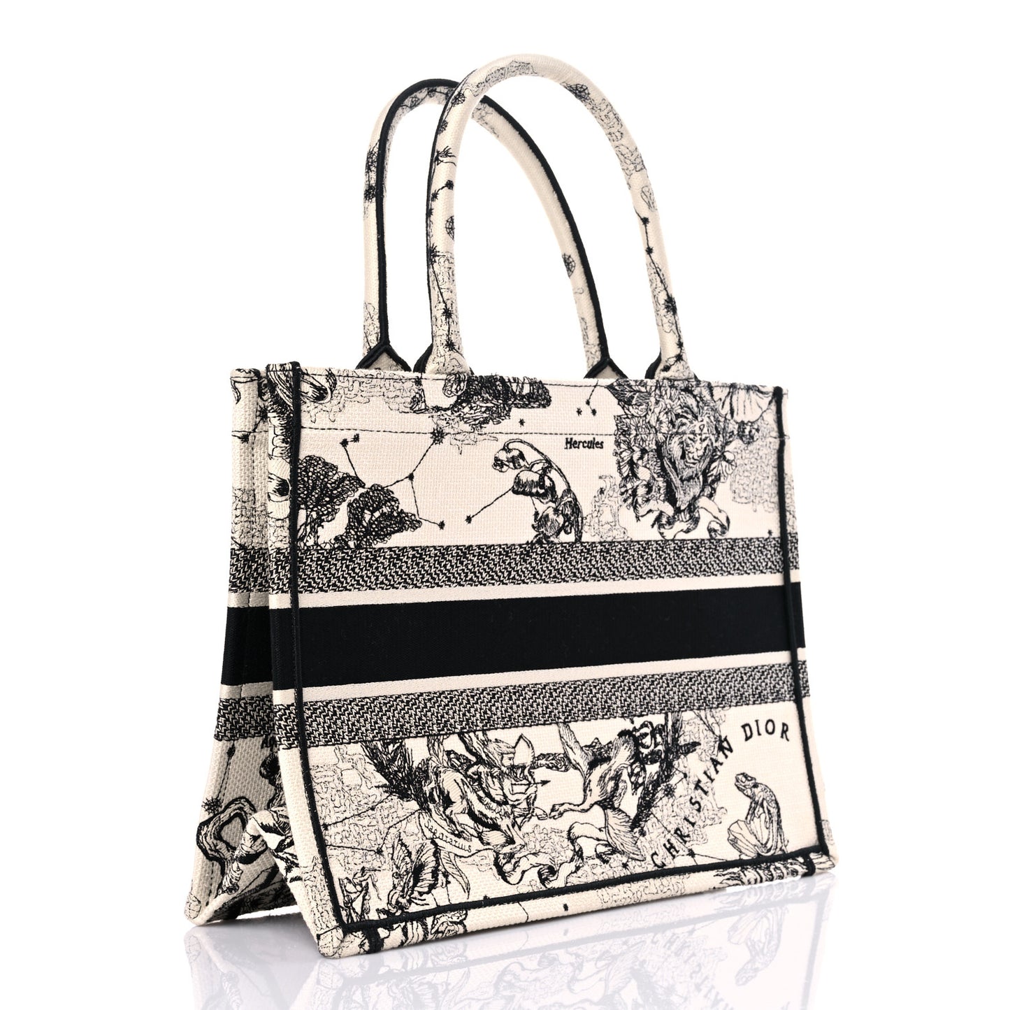 Canvas Zodiac Toile De Jouy Embroidered Medium Book Tote Latte