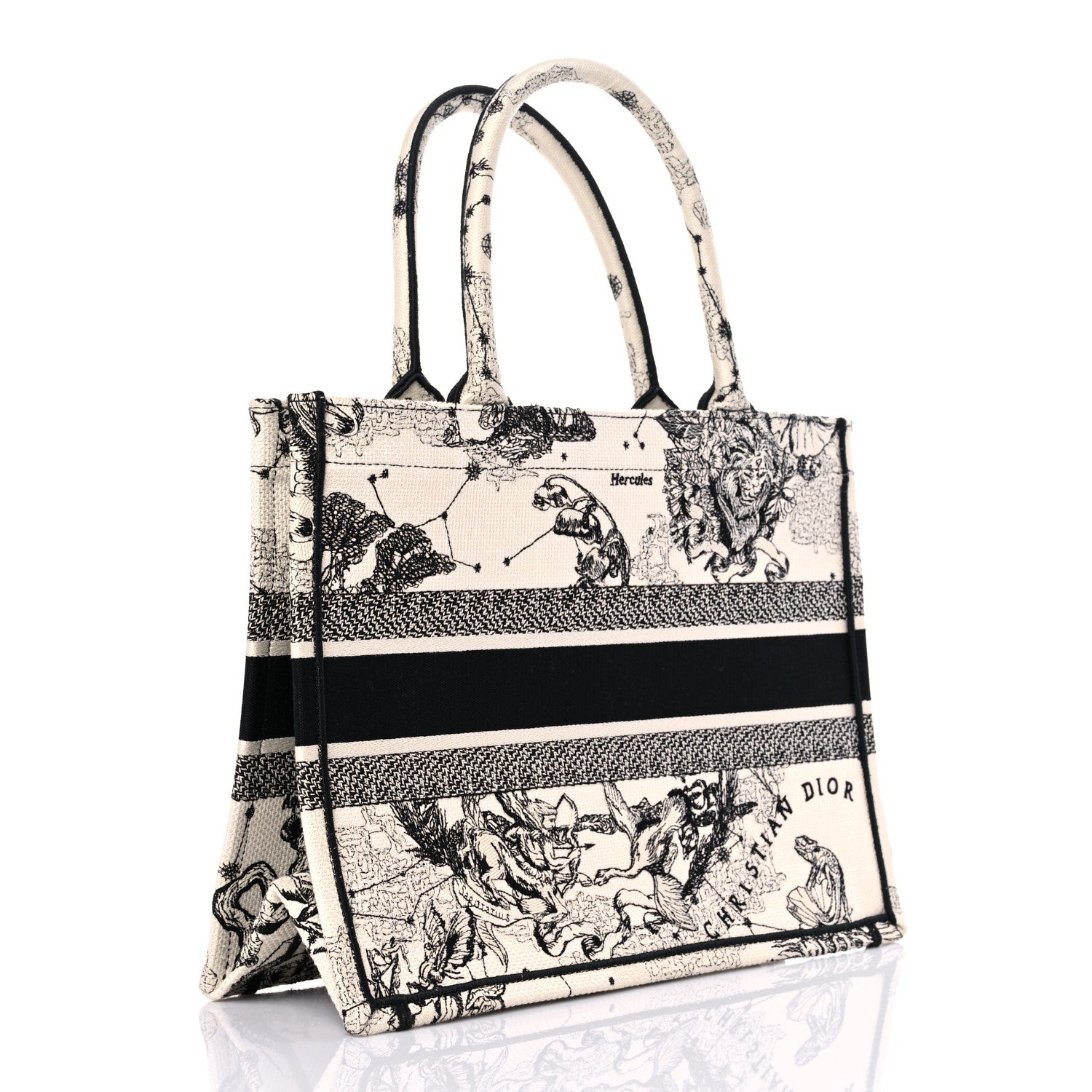 Christian Dior Canvas Zodiac Toile De Jouy Embroidered Medium Book Tote Latte 3 of 8