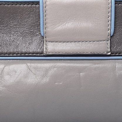 Balenciaga Chevre Silver Hardware Shoulder Bag 17 of 19