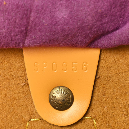 Louis Vuitton Epi Speedy 25 Tassil 7 of 12